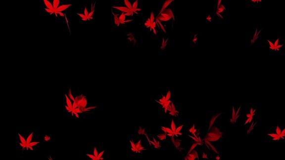 秋天枫叶粒子循环动画