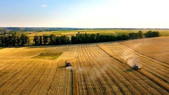 鸟瞰图:古老和现代联合收割机在日落的麦田里收割小麦