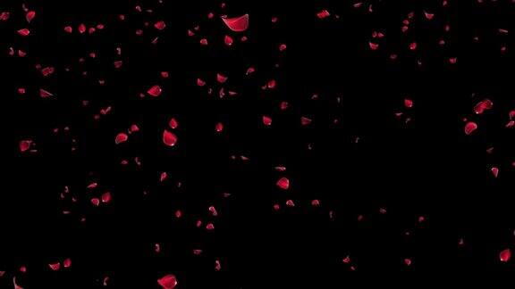 红色的玫瑰花瓣雨落在绿色的屏幕浪漫的网页贺卡装饰