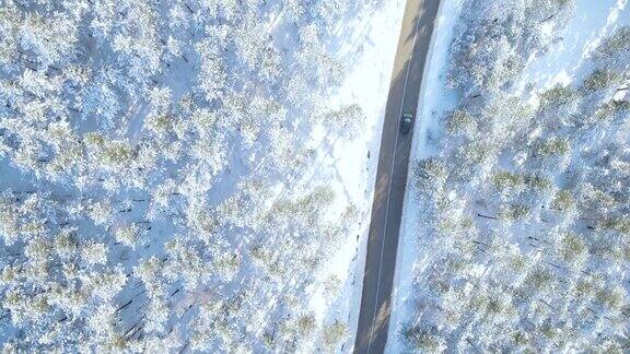 冬天独自驾车行驶在森林里的公路上