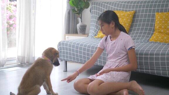 亚洲女孩玩棕色小狗狗在地板上的家