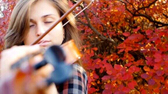 慢镜头美丽的女子在红色秋叶的背景下享受着小提琴的演奏面对着从事音乐艺术的浪漫女孩对自然的表演对爱好
