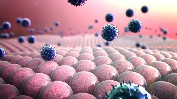 细胞巨噬细胞