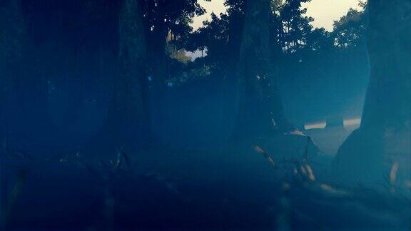 镜头穿越黑暗阴森的森林向一个迷路的孩子飞去