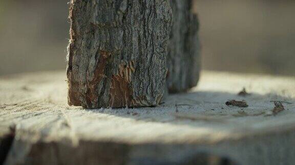 有人把一根木头放在树桩上劈开
