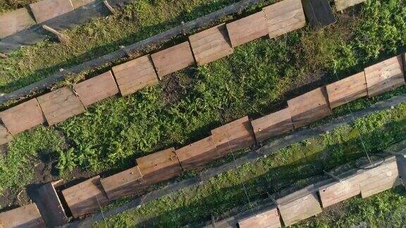 飞过蜗牛农场蜗牛农场鸟瞰图蜗牛农场俯视图