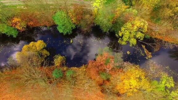 摄像机在拉德布扎河上空飞行捷克乡村的秋天五彩缤纷欧洲的自然