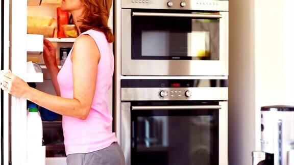 成年雌性在冰箱里寻找食物