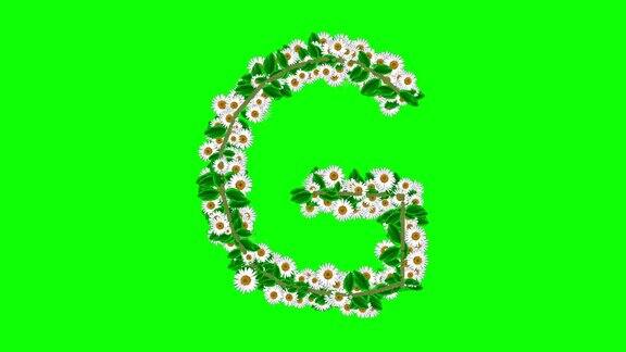 英文字母G绿色屏幕背景上有雏菊花