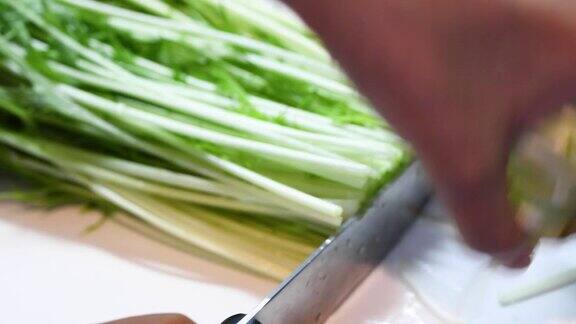 切水菜