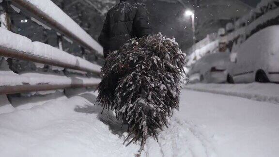 在雪地里拖着圣诞树