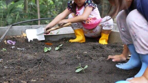 两个穿靴子的小女孩在后院种幼苗孩子们在菜园里种蔬菜