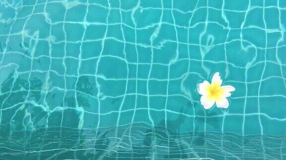水面上有白花
