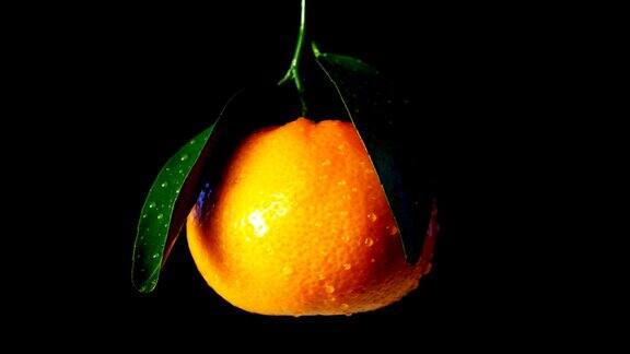 带叶子的橘子