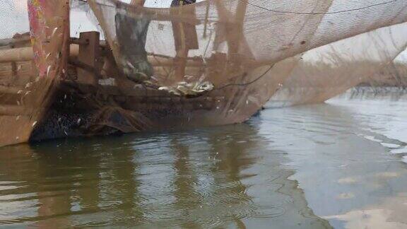 渔民用手渔网捕鱼从中国渔网中捕获的鱼(近距离)