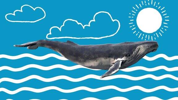 蓝鲸游泳抽象艺术概念与涂鸦绘制形状逼真的3d角色动物背景在创造性的停止运动风格平面色彩设计卡通时尚循环动画