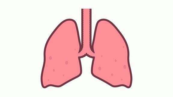 生动健康的人类肺部缓慢而平静地呼吸卡通循环视频孤立在白色背景