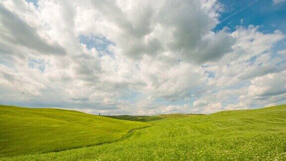 8K云景在绿色的田野
