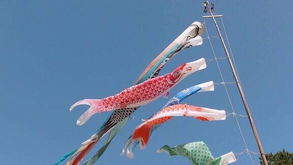 日本Koinobori鲤鱼横幅昭和纪念公园日本东京