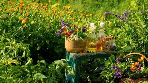 植物和草药酊剂和提取物有选择性的重点大自然