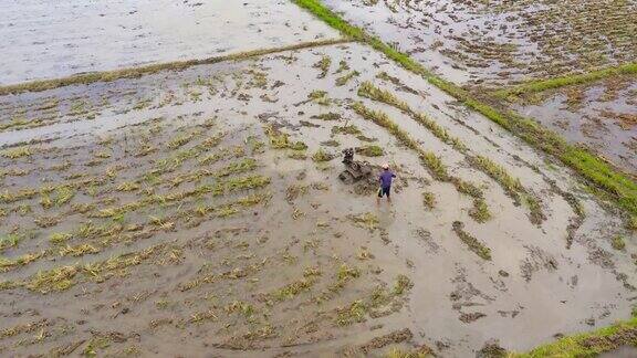 农民用手扶拖拉机在稻田里犁地为种植水稻做准备