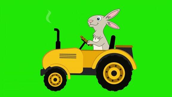 黄色拖拉机和兔子的动画兔子或野兔是一个拖拉机司机卡通拖拉机在绿色屏幕上移动农用车在路上行驶农业机械复活节的设计阿尔法通道4k