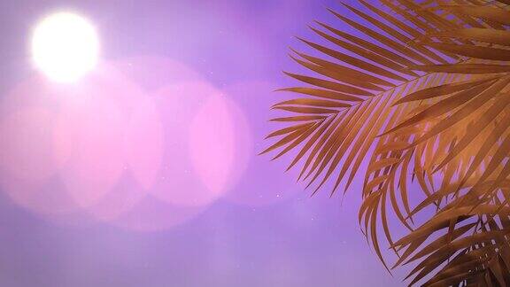 有棕榈树和日落的热带景观