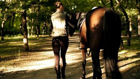 在阳光明媚的日子里年轻的褐发调皮的女孩和马在公园里散步