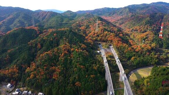 秋天的高速公路