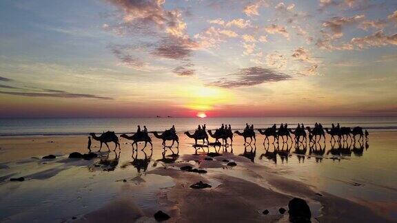 鸟瞰图上的骆驼电缆海滩在布鲁姆澳大利亚