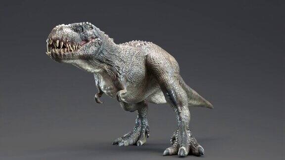 V雷克斯恐龙电影咆哮动画和奔跑攻击动画三维渲染