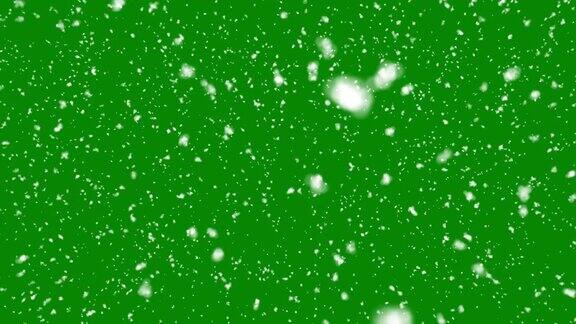 雪隔离色度键下落现实动画在葛兰屏幕背景在4K合成慢镜头大的和小的雪花阿尔法通道强烈绿色盒子风暴可循环-股票视频
