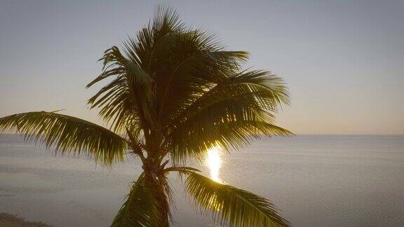 佛罗里达州西基的棕榈树和海洋航拍图