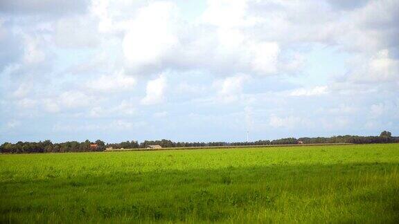 绿色的田野和蓝色的天空