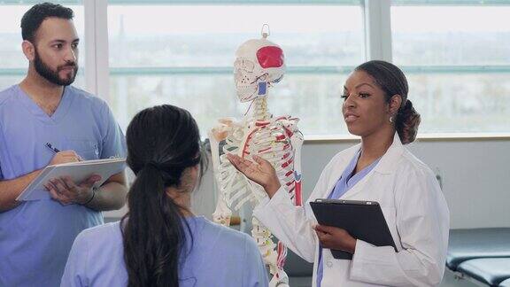 护理学校的学生学习人体骨骼系统