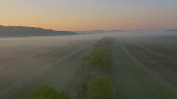 在晨雾中空中耕种的田野