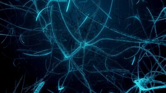 在神经元中通过具有突触过程的神经元组织
