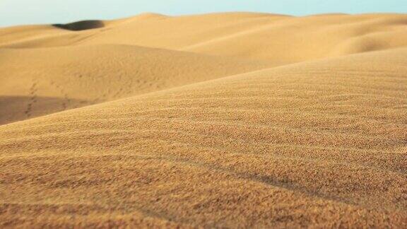沙漠中沙丘的特写镜头
