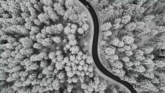 无人机拍摄的雪林中蜿蜒的道路