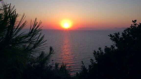 夕阳穿过海岸植被的缝隙掠过海面