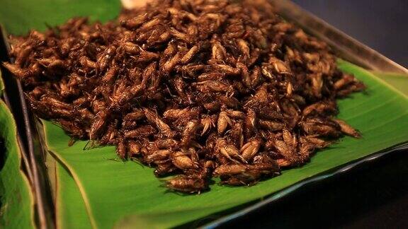 可食用的烤香粉虫泰国街头小吃炸虫子