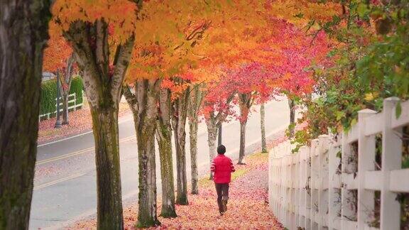 老人在美丽的秋叶中沿着人行道慢跑