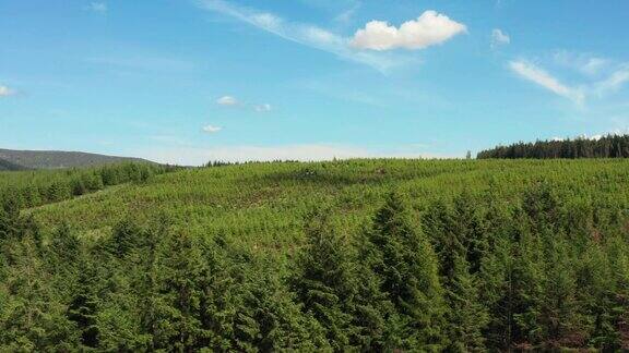苏格兰西南部农村地区的森林和蓝天的高角度无人机视图