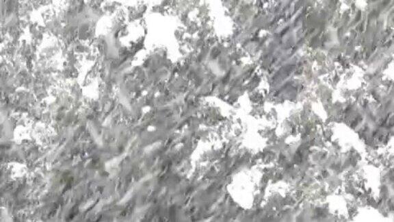 冬天下雪的场景(视频)