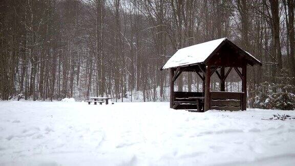 冬季景观与木屋在森林覆盖在雪