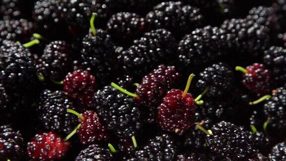 碗里的桑葚黑莓在夏季收获水果食品背景