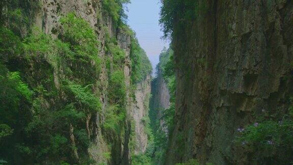 绿色峡谷与陡峭的岩石峭壁山脉的顶端覆盖着树木美丽的自然景观