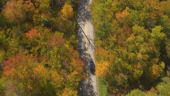 航拍:越野车在树叶偷窥公路上行驶穿过五彩缤纷的秋天森林