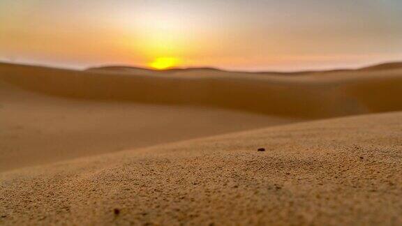 沙漠中的日出