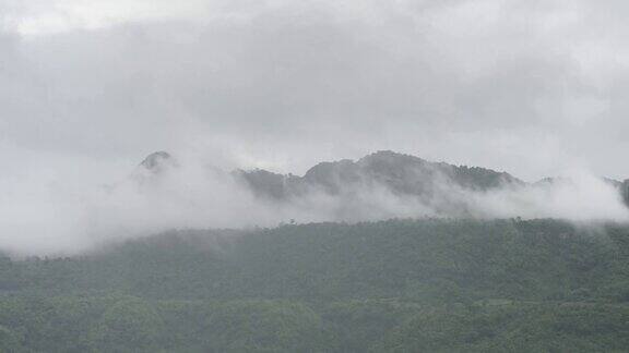 国家公园的山与雾在雨季的风景